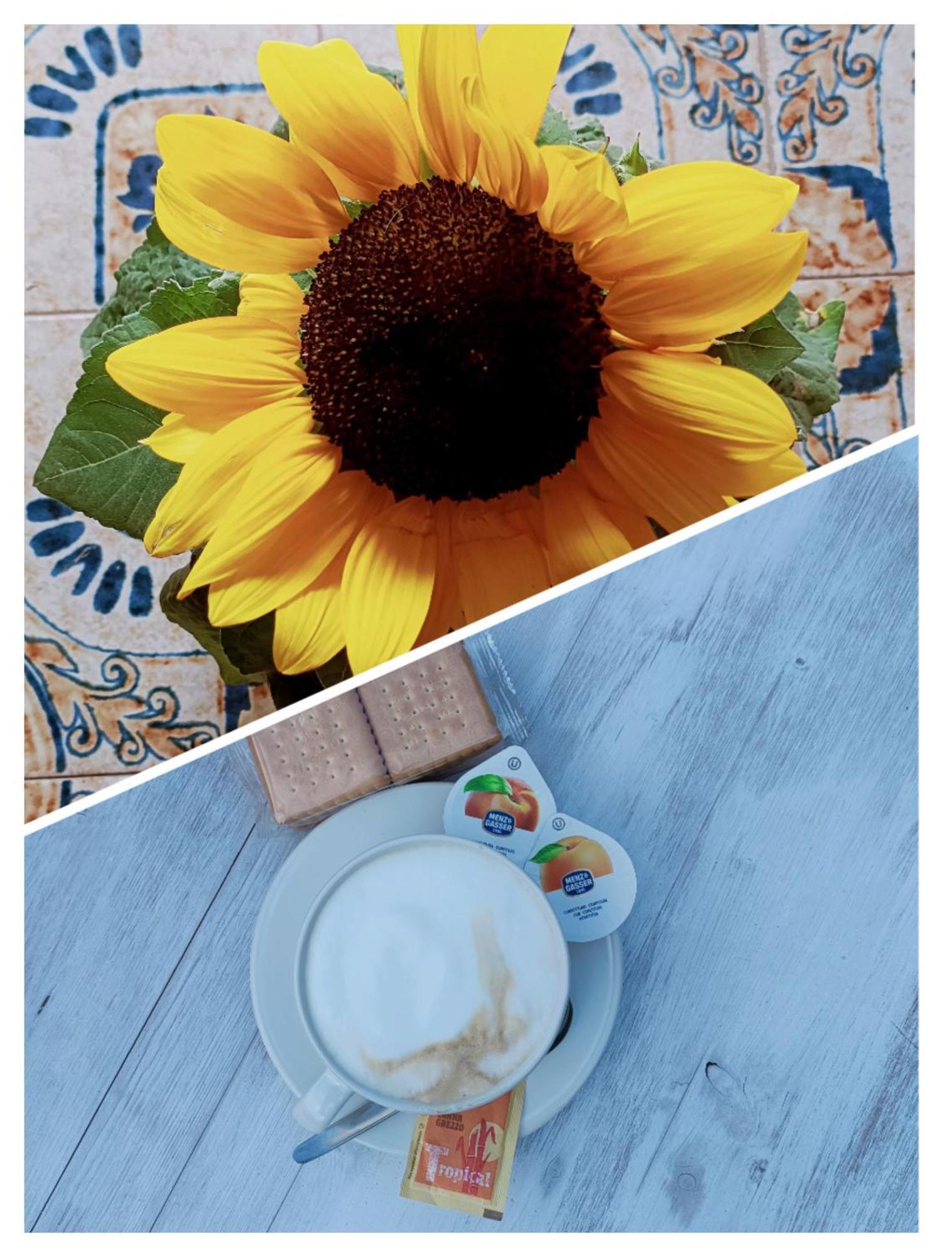 B&B Il Girasole Фінале-Лігуре Екстер'єр фото